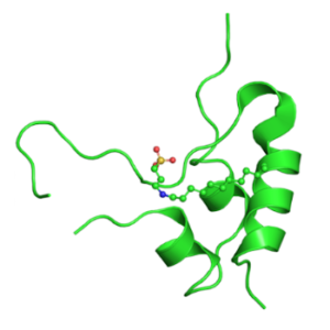 Molecular structure of IGF-1 LR3 peptide with N-terminal extension