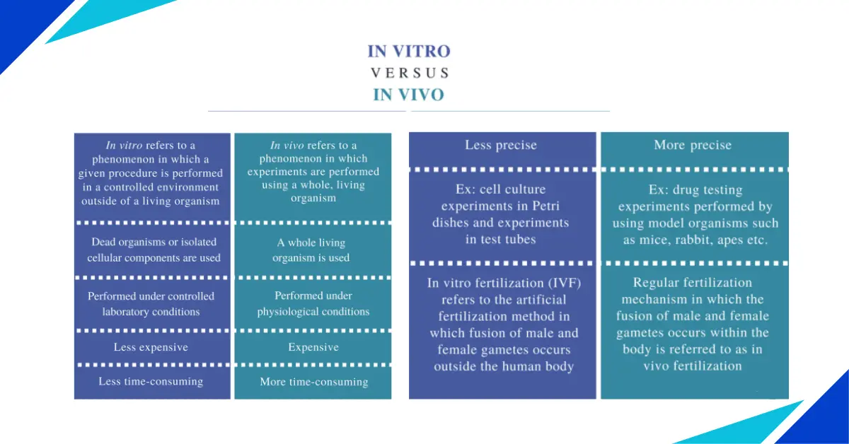 in vitro vs in vivo : While in-vivo research involves studying living organisms, in-vitro research involves analyzing biological samples or cells outside of their natural environment.




