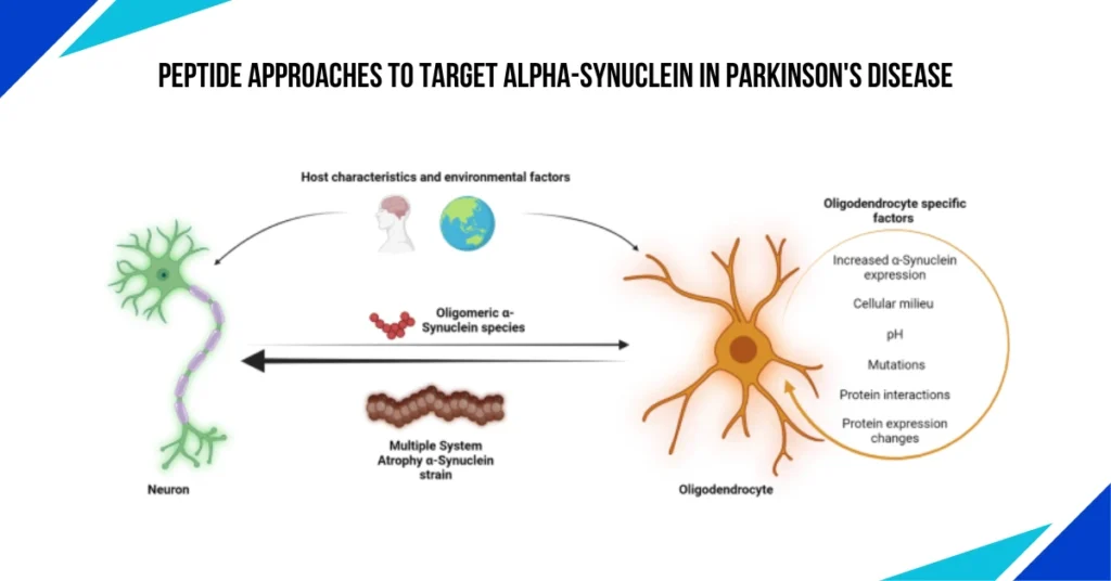 Peptide Approaches to Target Alpha-Synuclein in Parkinson's Disease