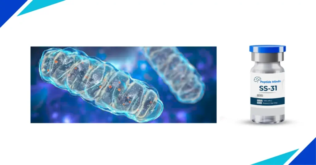 Unique structure of SS-31