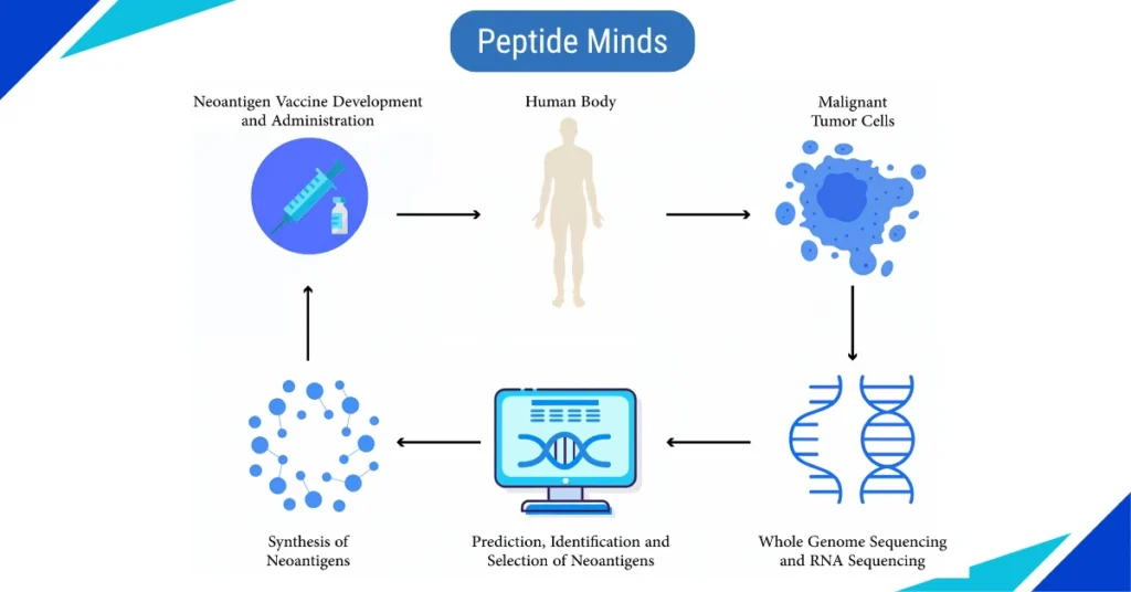 Understanding the Challenges and Regulations of Neoantigen Peptide Cancer Vaccines
